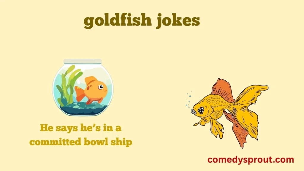 Aquarium Dating Comedy Puns