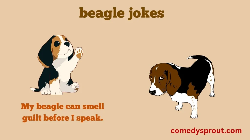 Beagle Nose