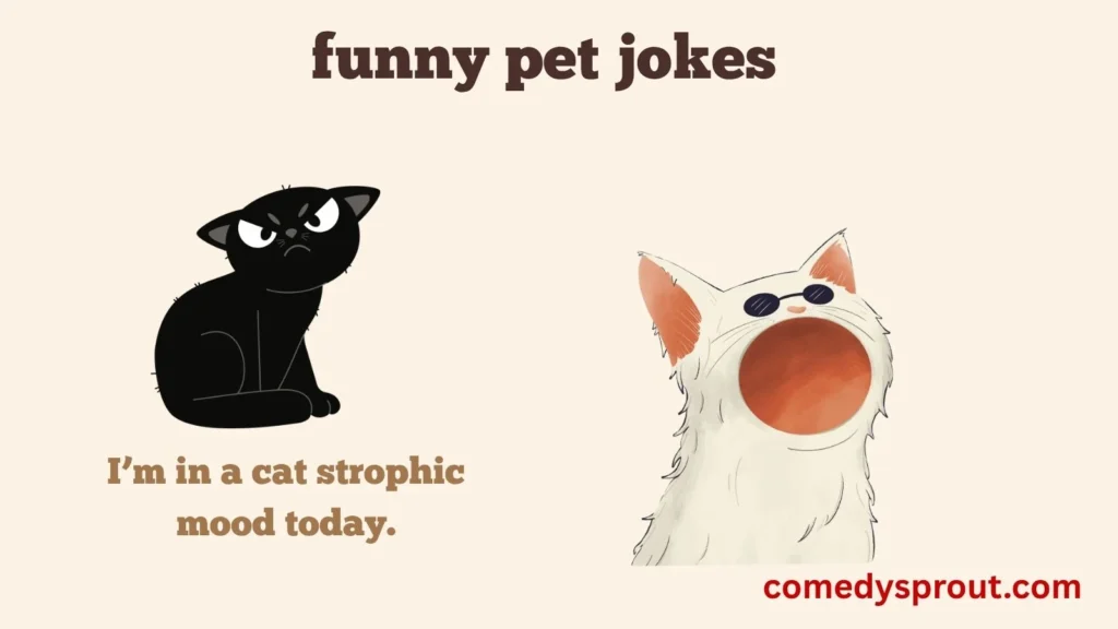 Cat Puns