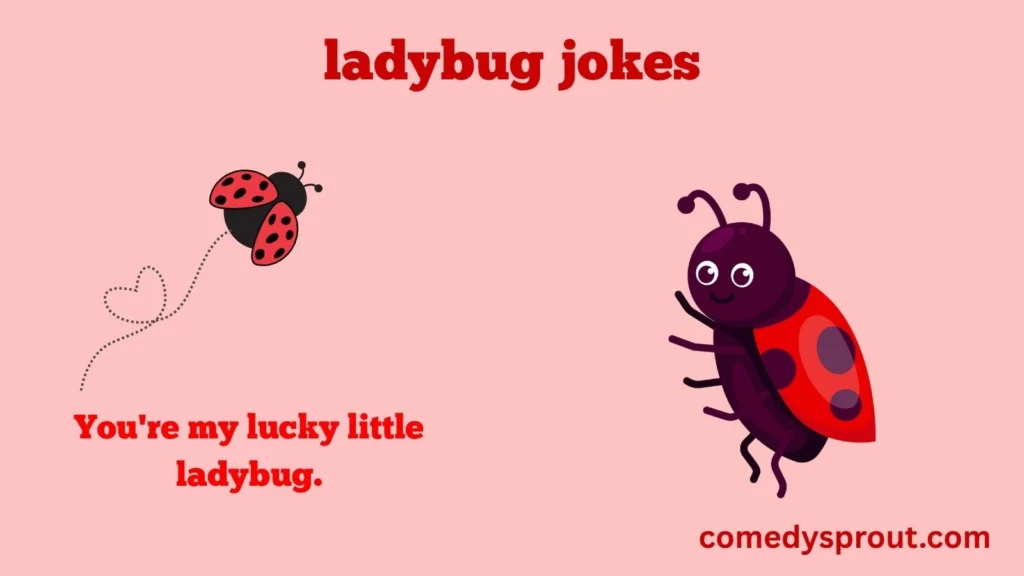 Cute Ladybug Puns