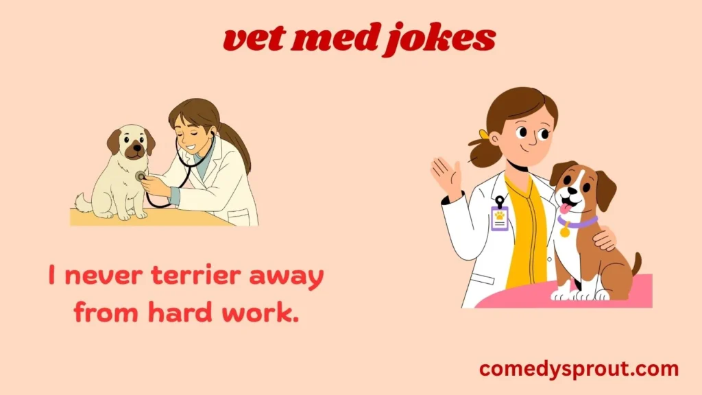 Dog Vet Puns That Are Pure Gold