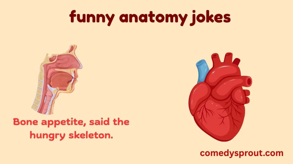 Funny Anatomy Jokes About Bones