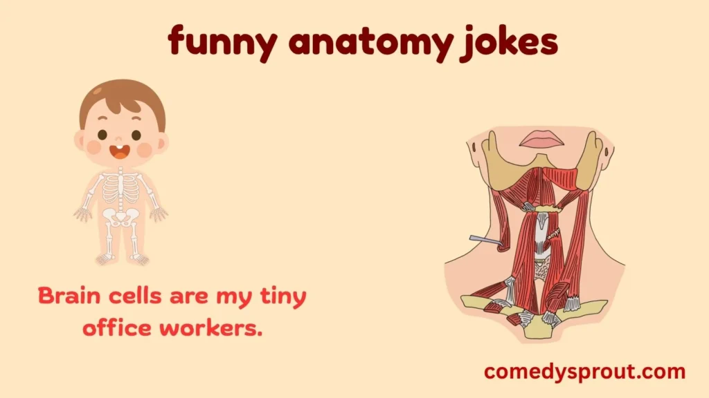 Funny Anatomy Puns About the Brain
