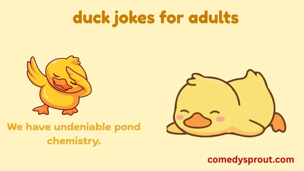 Funny Duck Puns About Love and Relationships