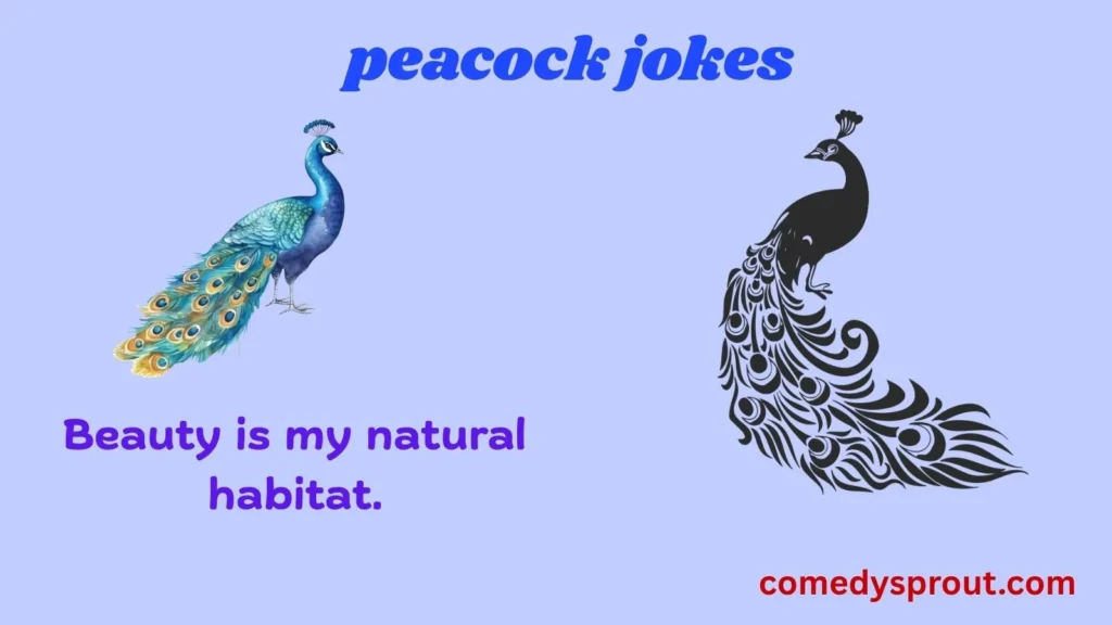 Funny Peacock Puns for Everyday Laughs