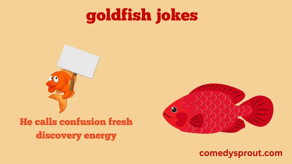 Goldfish Life Chaos Jokes