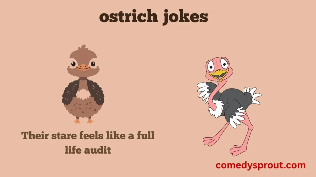 Ostrich Eyes
