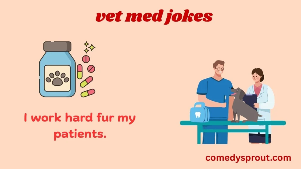 paw sensitively funny vet med jokes