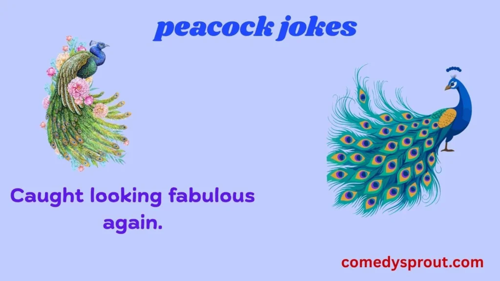 Peacock Jokes for Instagram Captions