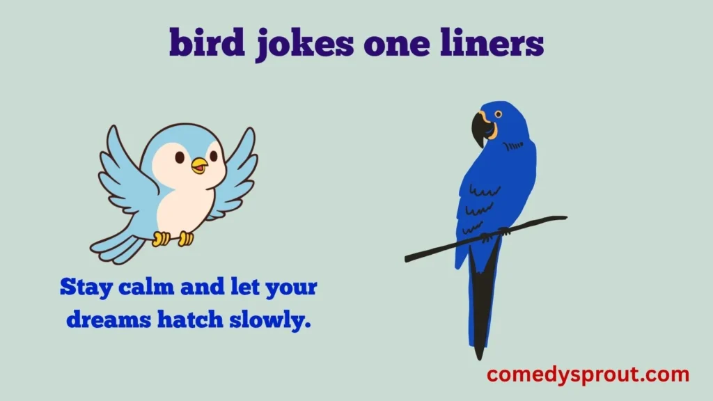Sky High Bird One-Liners