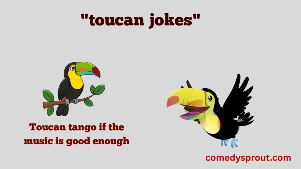 Funny Toucan Jokes for Everyday Laughs