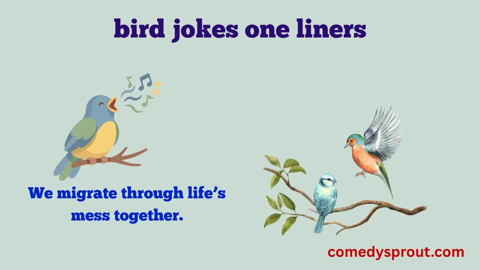 bird jokes one liners