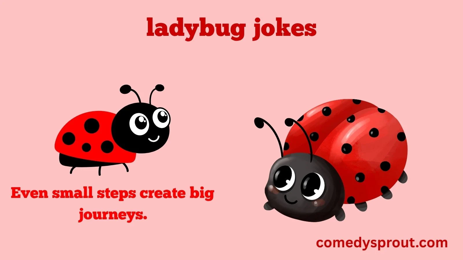 ladybug jokes