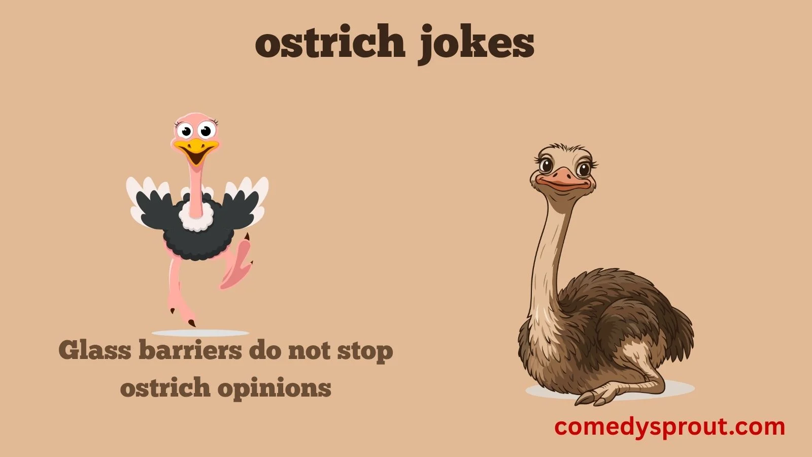 ostrich jokes