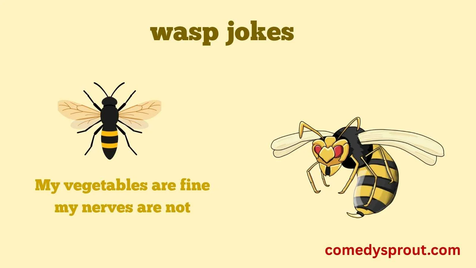 wasp jokes